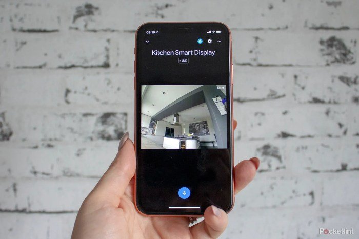 Google Nest Hub Max features your smart home actually needs