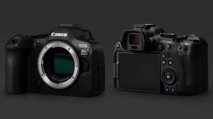 Nikon Z8 vs Canon R6 Mark II which mirrorless wins in 2025
