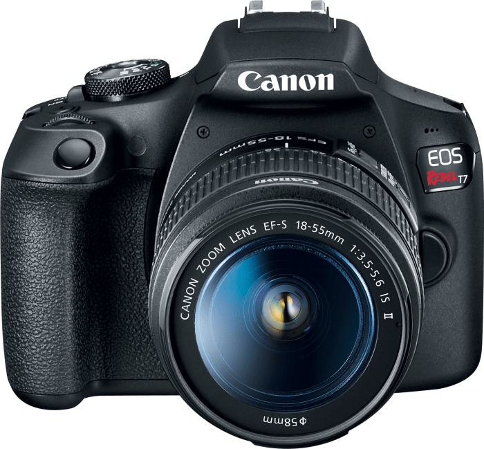 Canon EOS R8 mirrorless camera honest review from a photographer