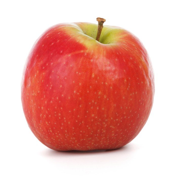 Apple iPhone 16 Pro Max Camera Deep Dive